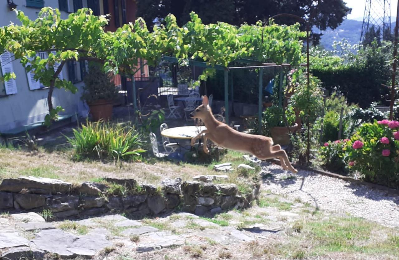 ג'נובה Villa Ponzio מראה חיצוני תמונה